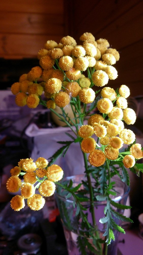 Настроение