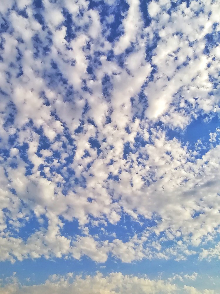 Photograph by Sahar Jafari