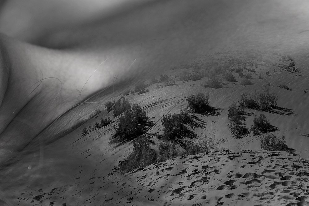 Photograph by Samira Alaei