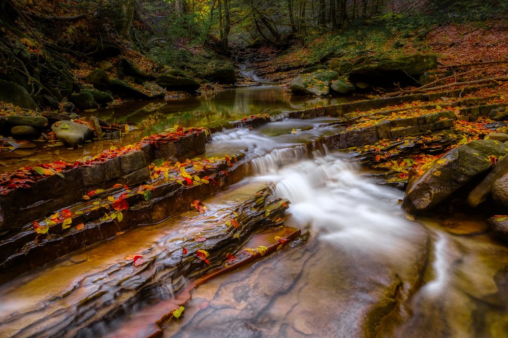 Журчание ручья