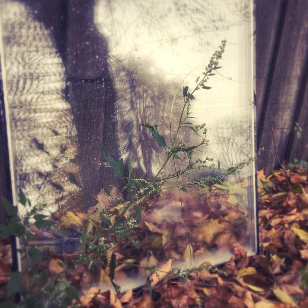 Фотография автора Ирина Курмалеева