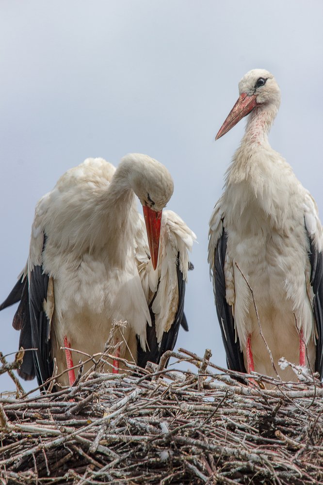 Photograph by Оксана Казакова