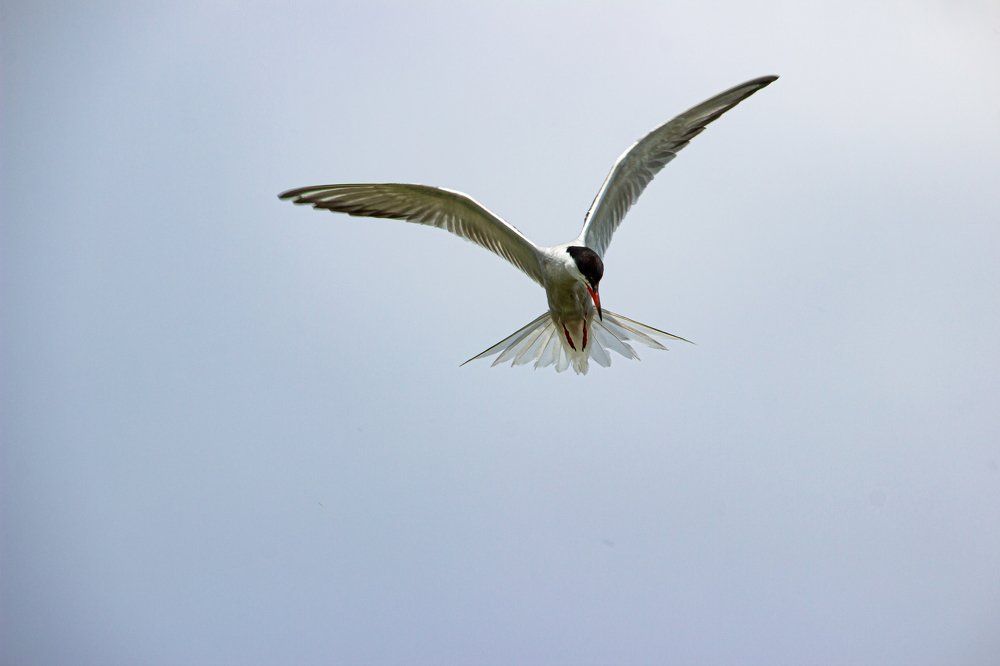 Photograph by Оксана Казакова