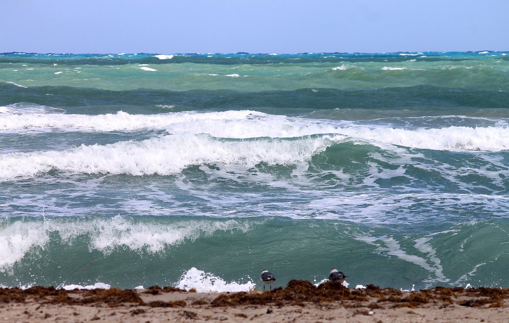 Photograph by Наталья Жигарева