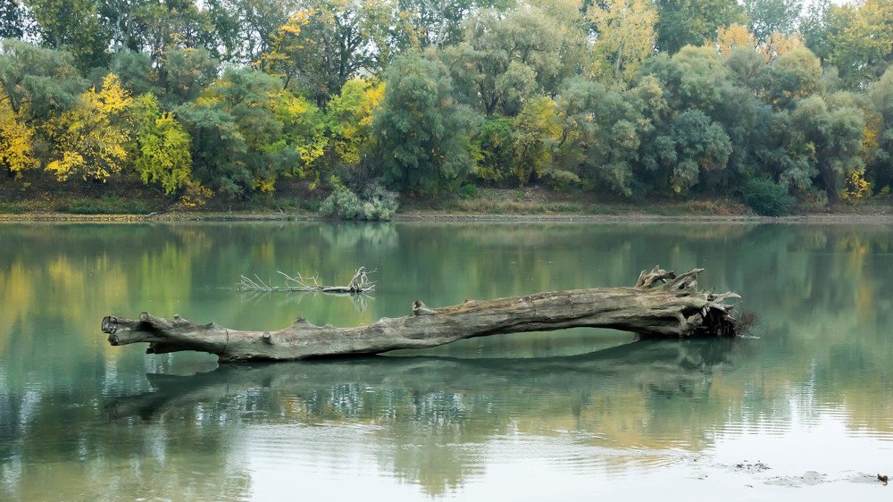 Река Кубань