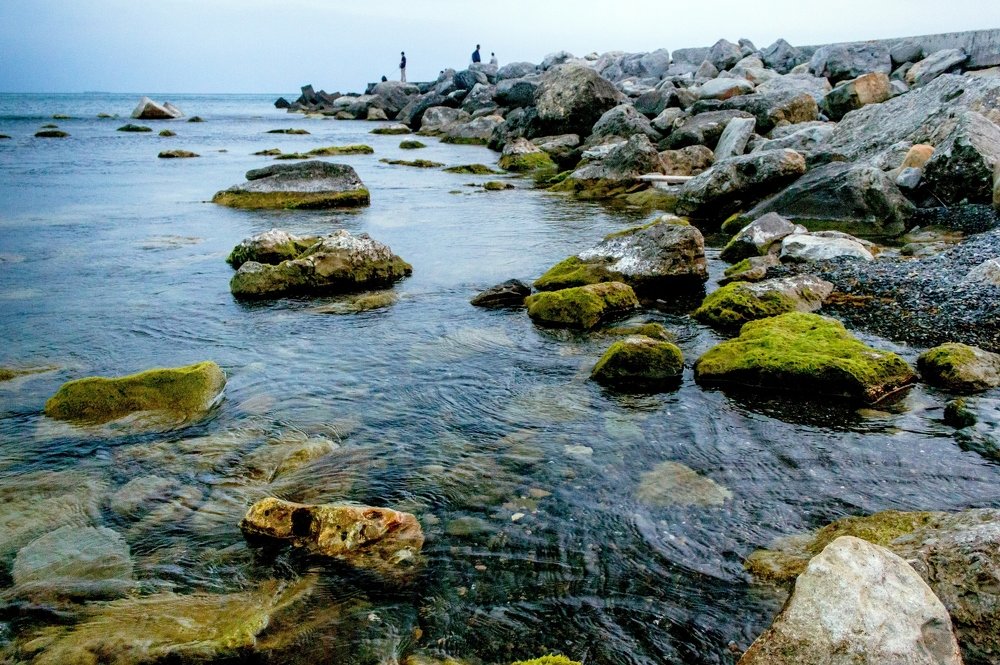 Photograph by Галина Суркова