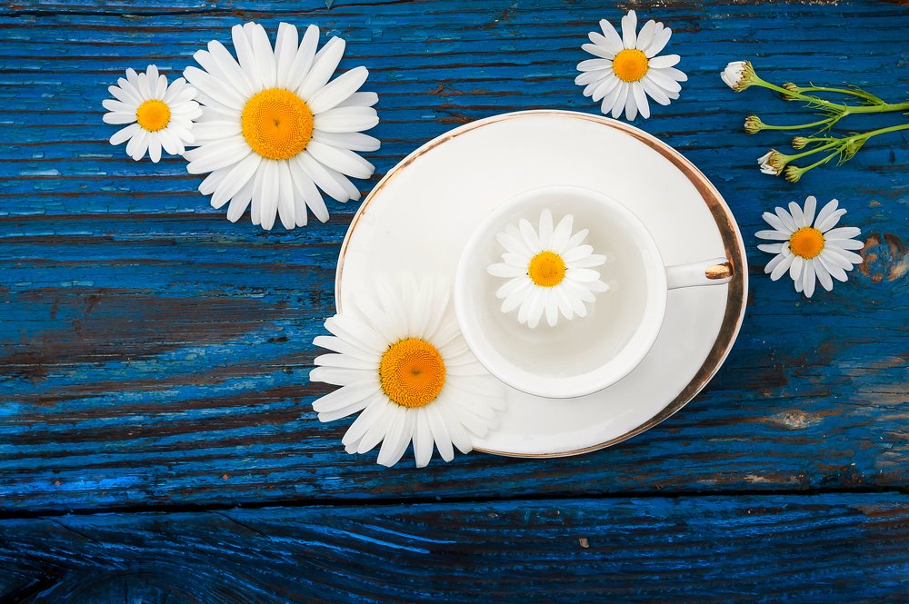 Photograph by Анастасия Селезнева