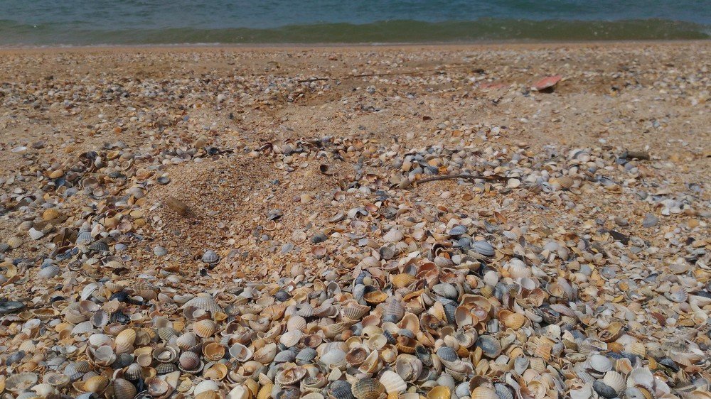 Photograph by Лариса Смирнова