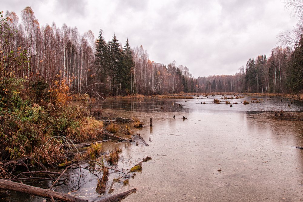 Photograph by Алена