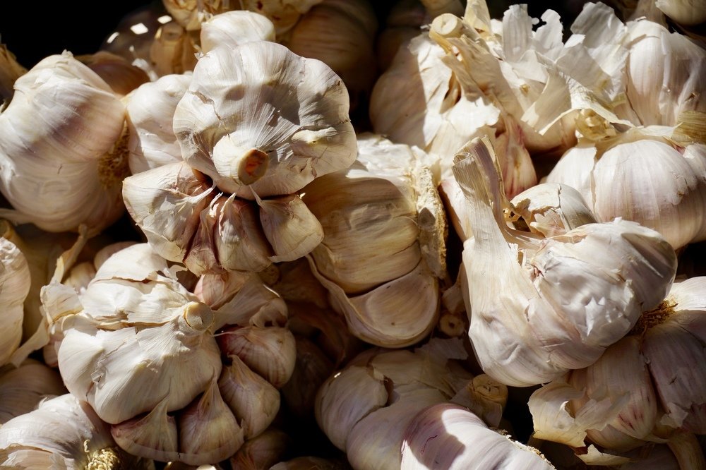 Photograph by CARMEN RAMON CAMI