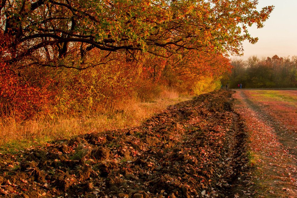 Photograph by Галина Суркова