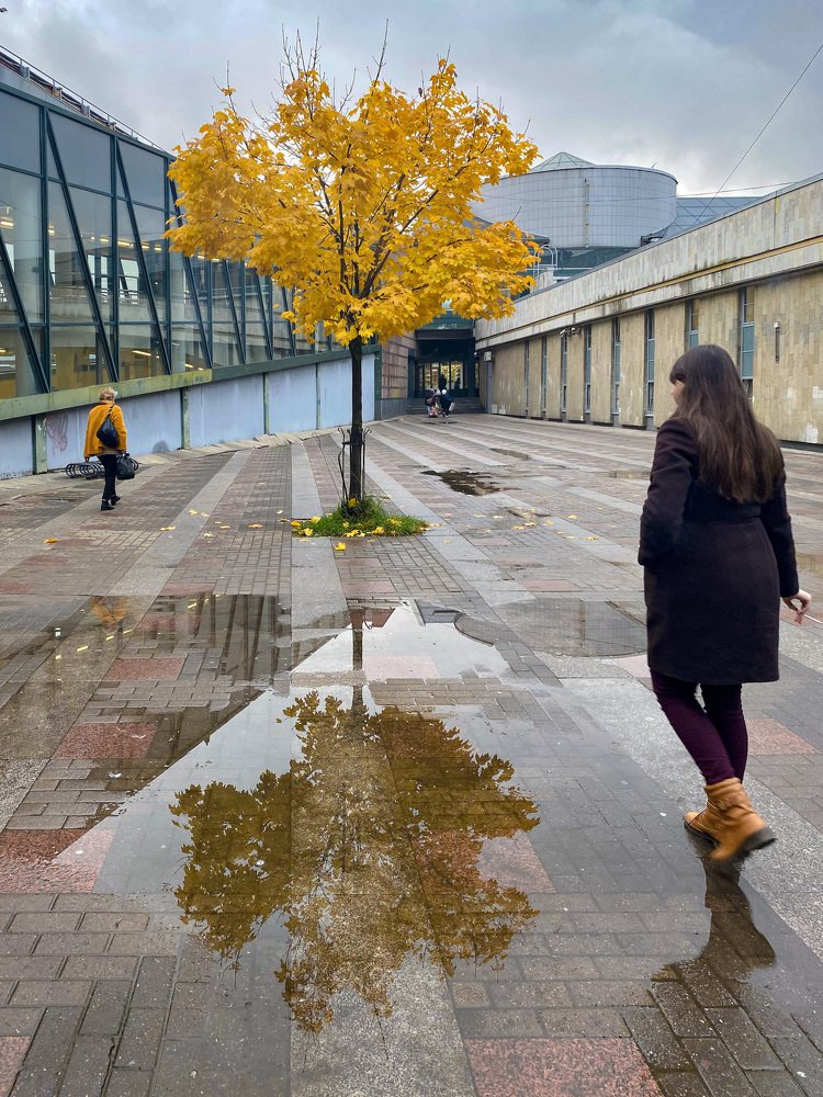 Photograph by Александр Максимов