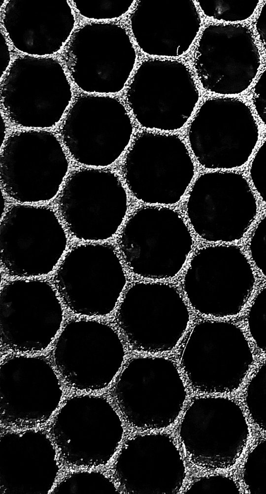 The structure of excellence.