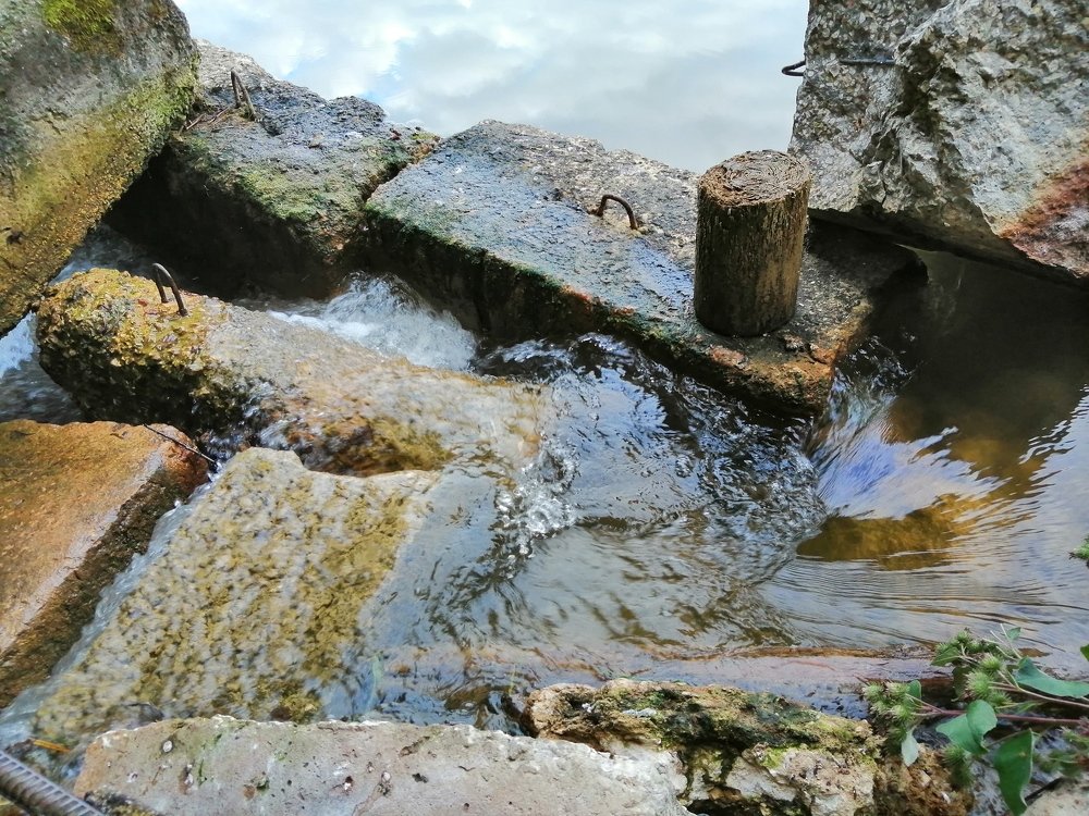 Photograph by Лариса Смирнова