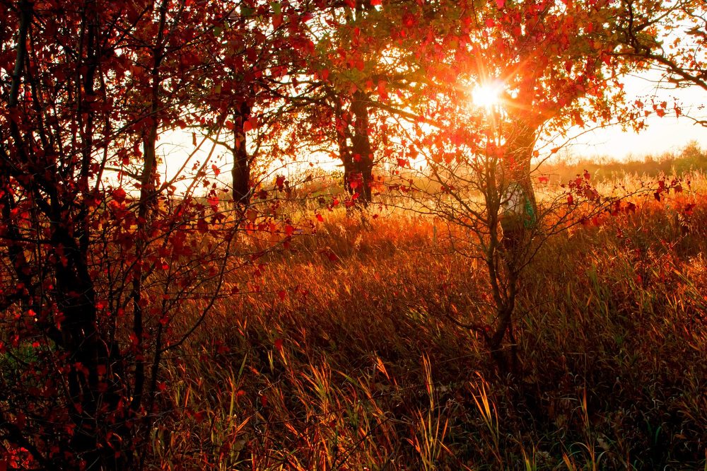 Photograph by Галина Суркова