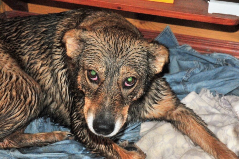 Photograph by Николай Турский