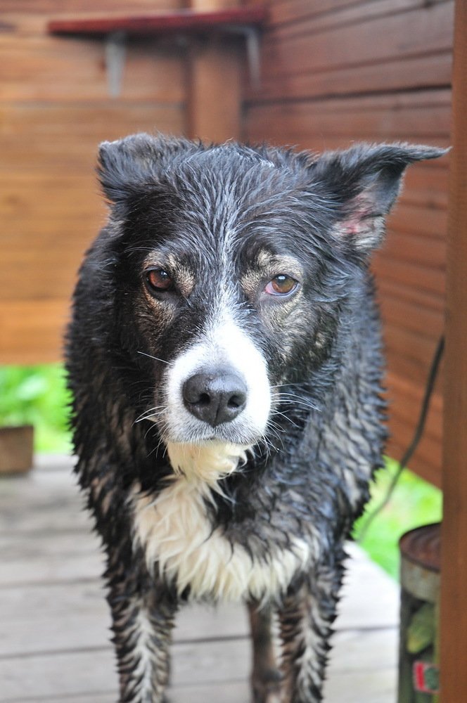 Photograph by Николай Турский