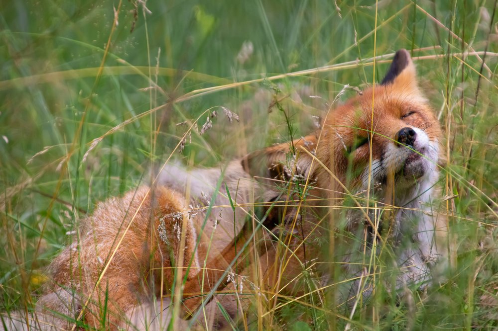Photograph by Оксана Казакова