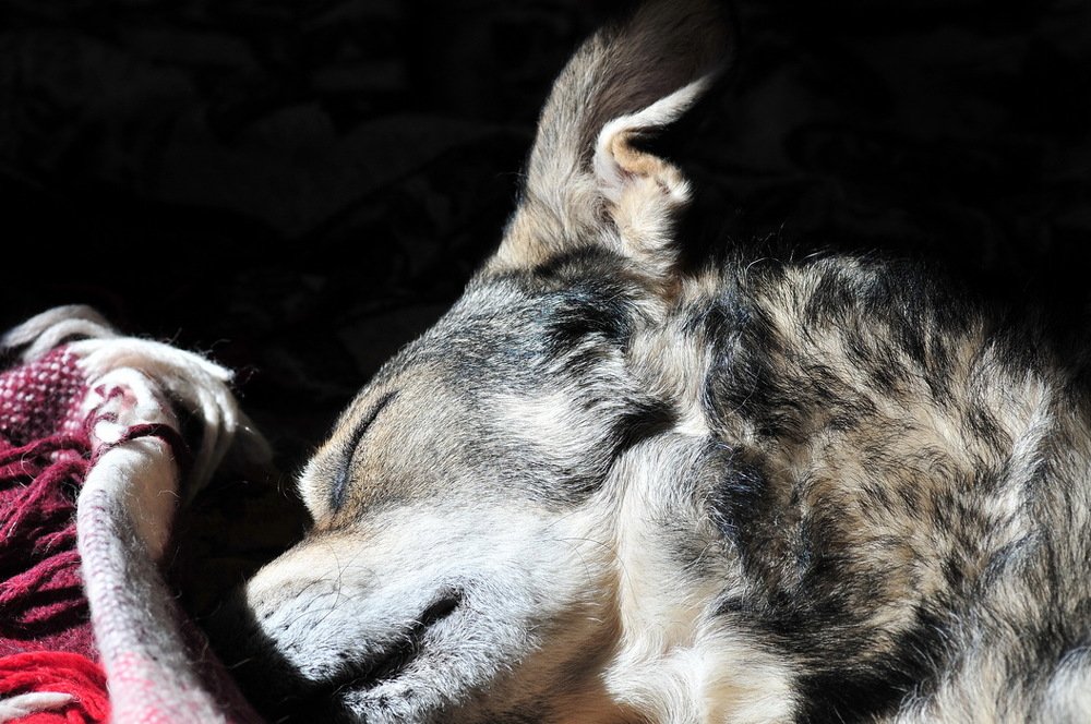 Photograph by Николай Турский