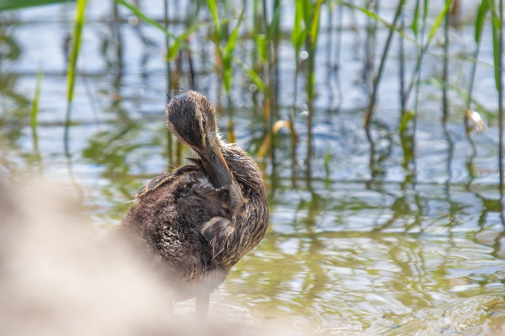 Photograph by Оксана Казакова