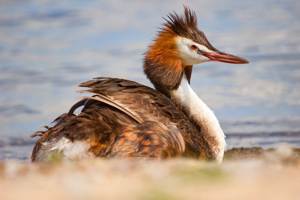 Photograph by Оксана Казакова