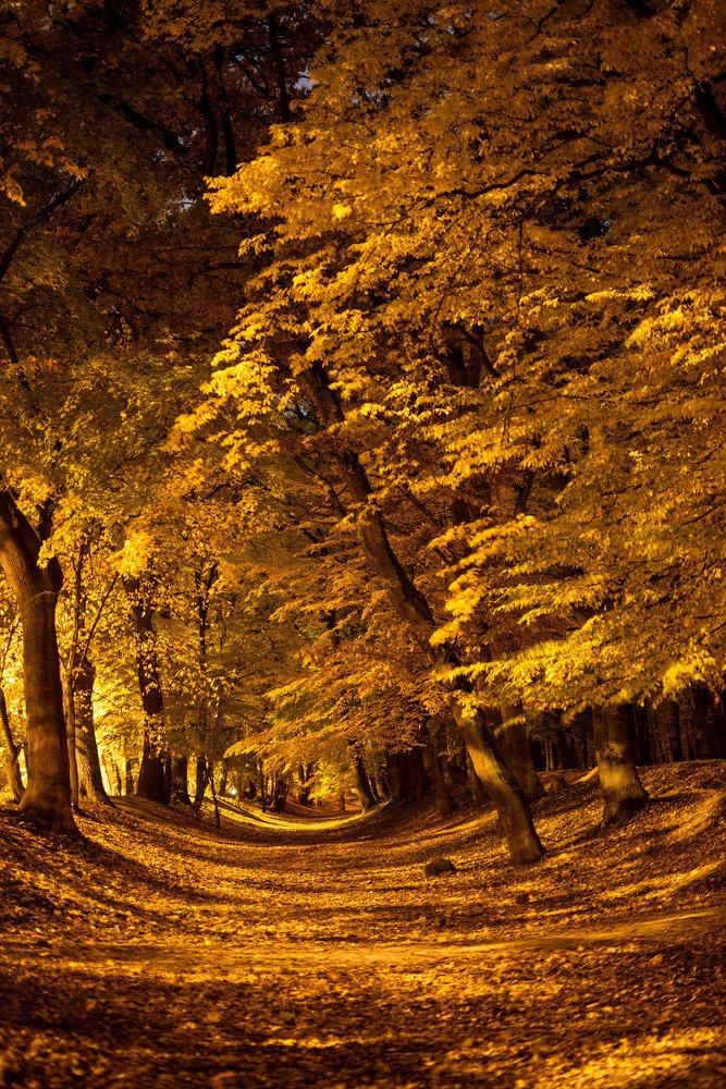 Photograph by Александр Тимохин