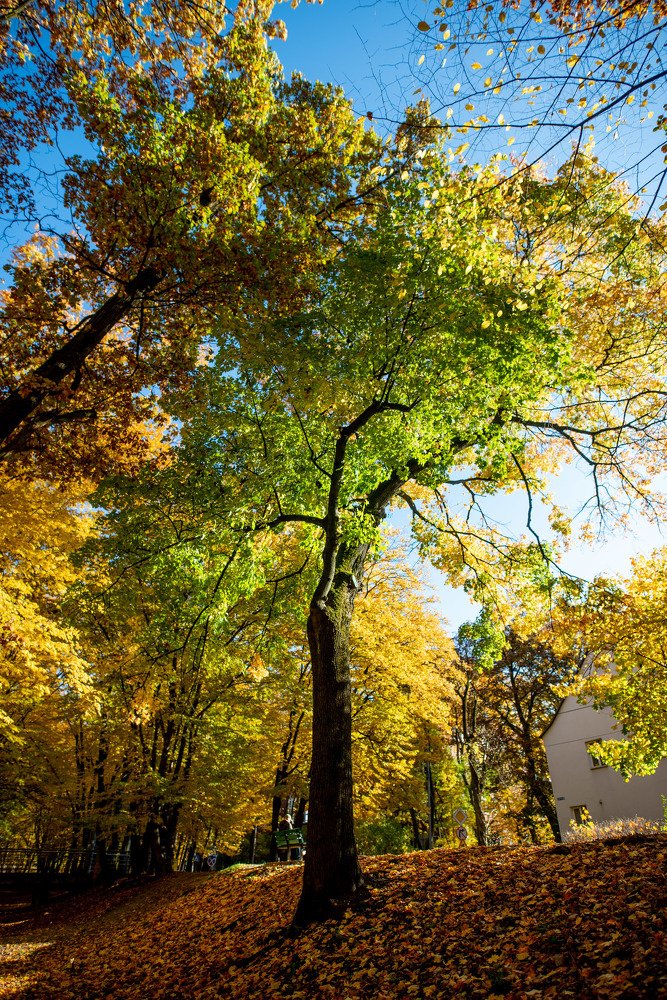 Photograph by Александр Тимохин