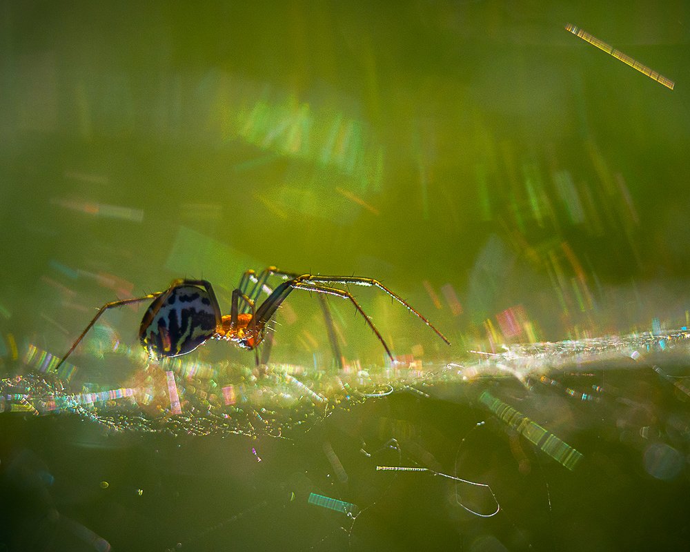 Фотография автора владимир шаронов