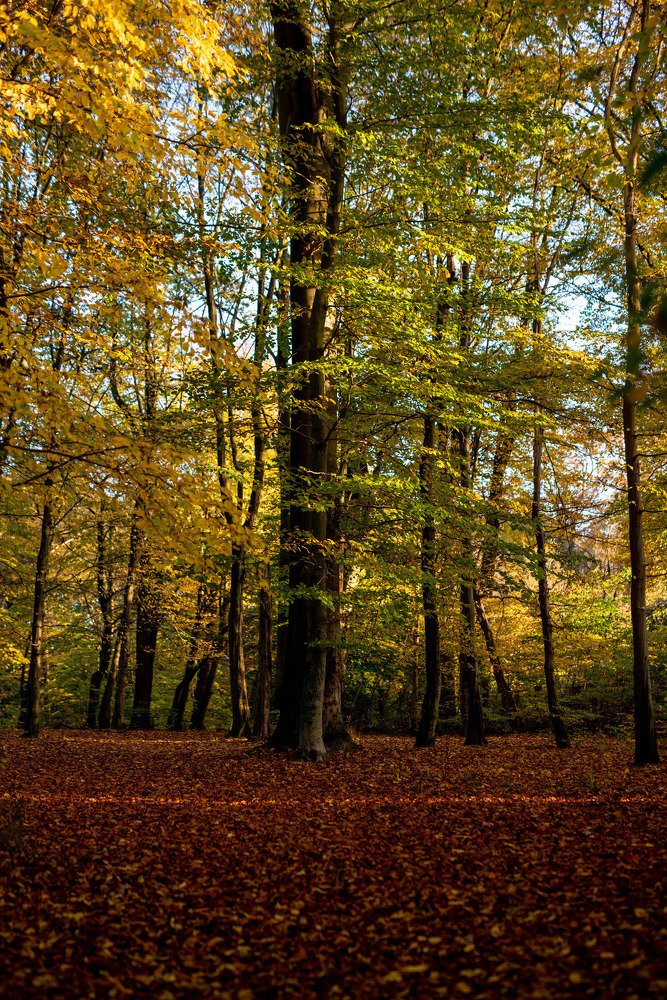 Photograph by Александр Тимохин