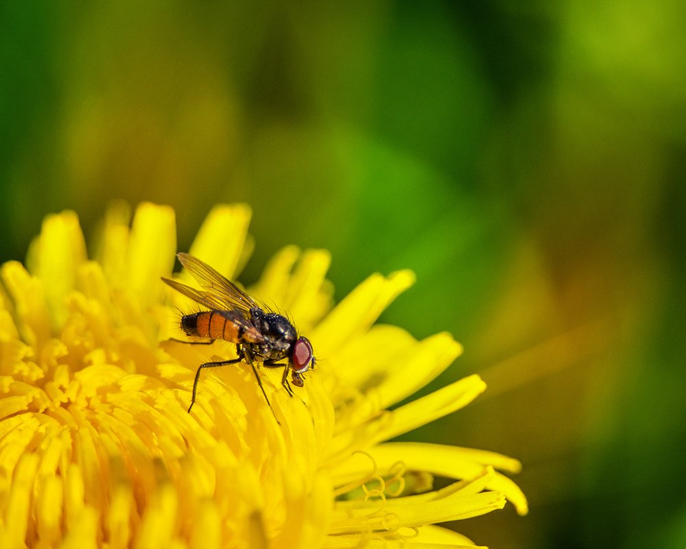 Фотография автора владимир шаронов