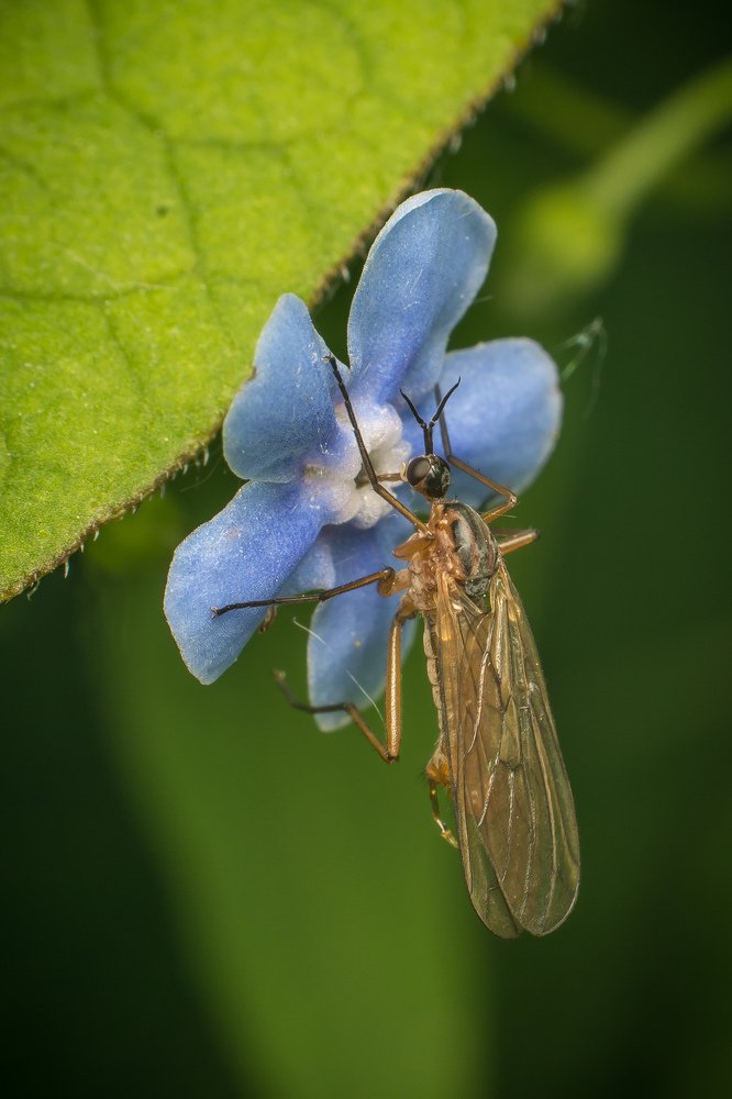 Photograph by Денис Шарунов