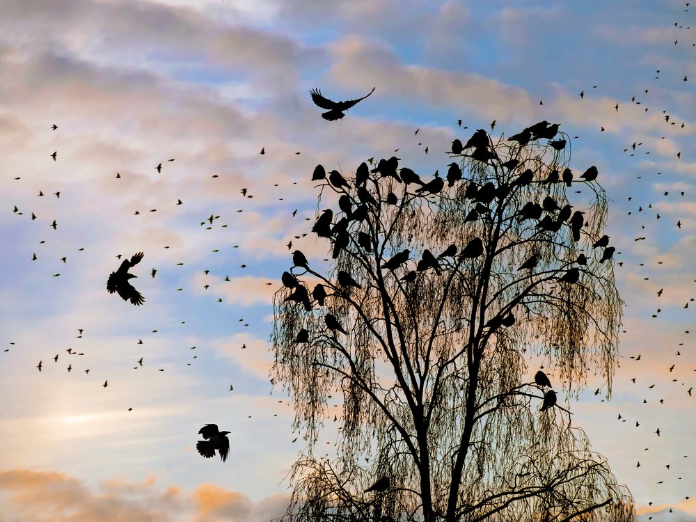 Photograph by Дмитрий Матвеев