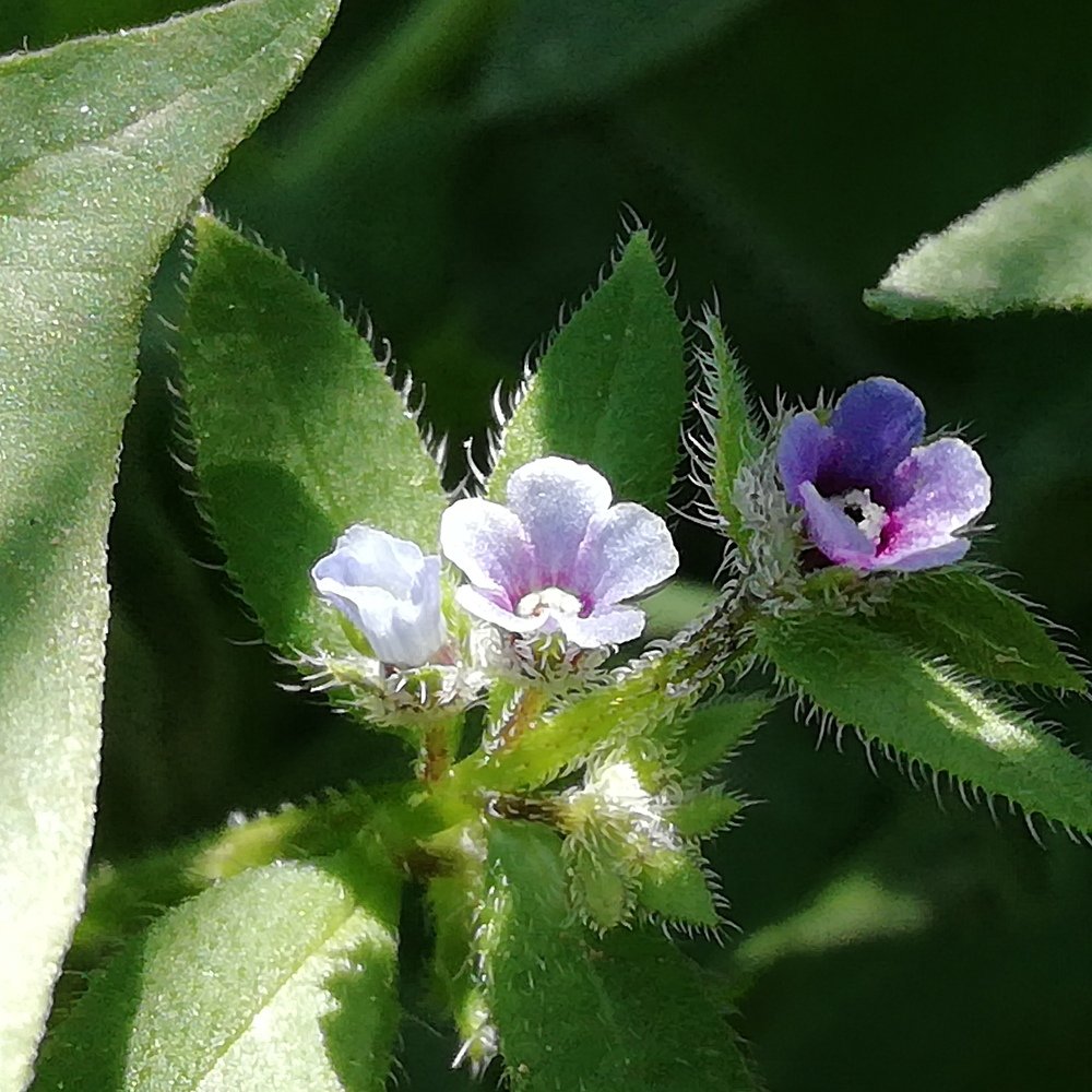 Photograph by Жанерке Хайбулда