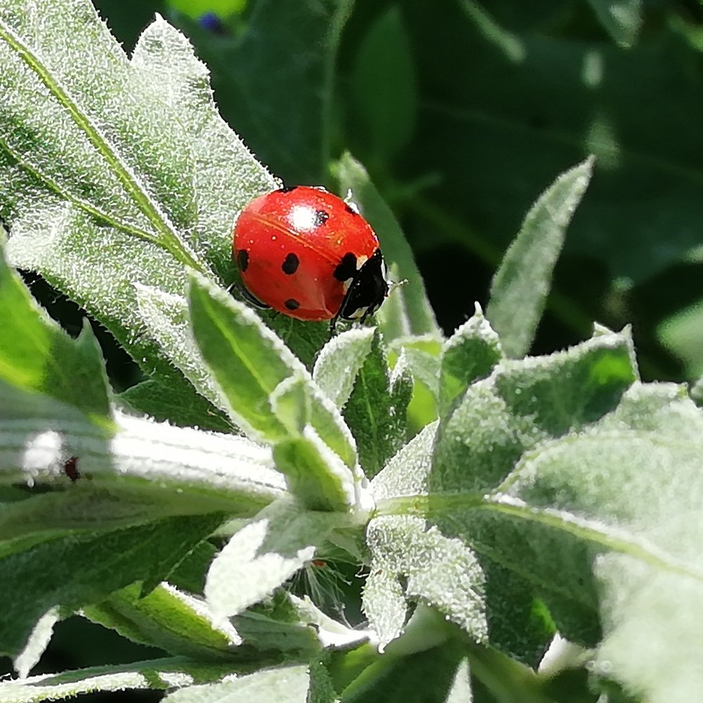 Photograph by Жанерке Хайбулда