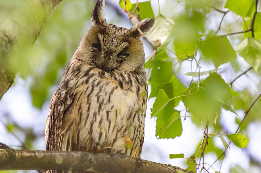 Photograph by Оксана Казакова