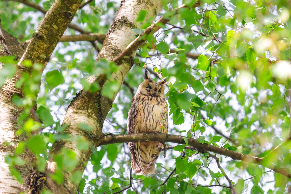 Photograph by Оксана Казакова