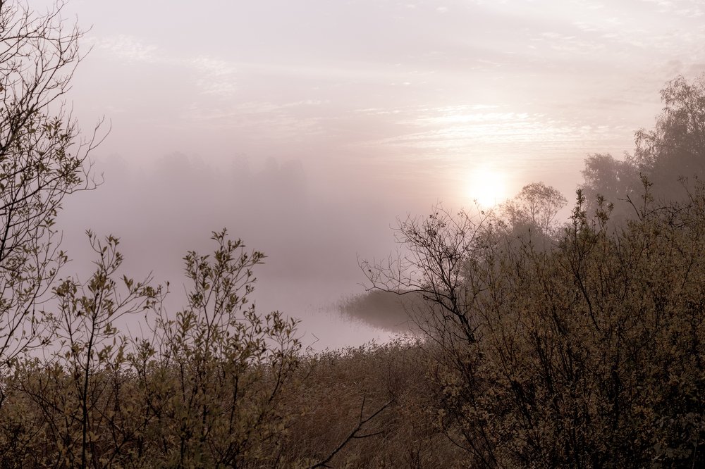 Photograph by Sergey Larin