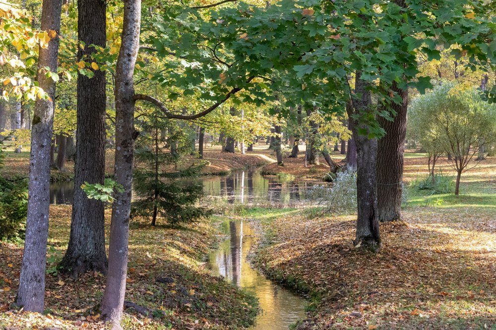 Photograph by Sergey Larin