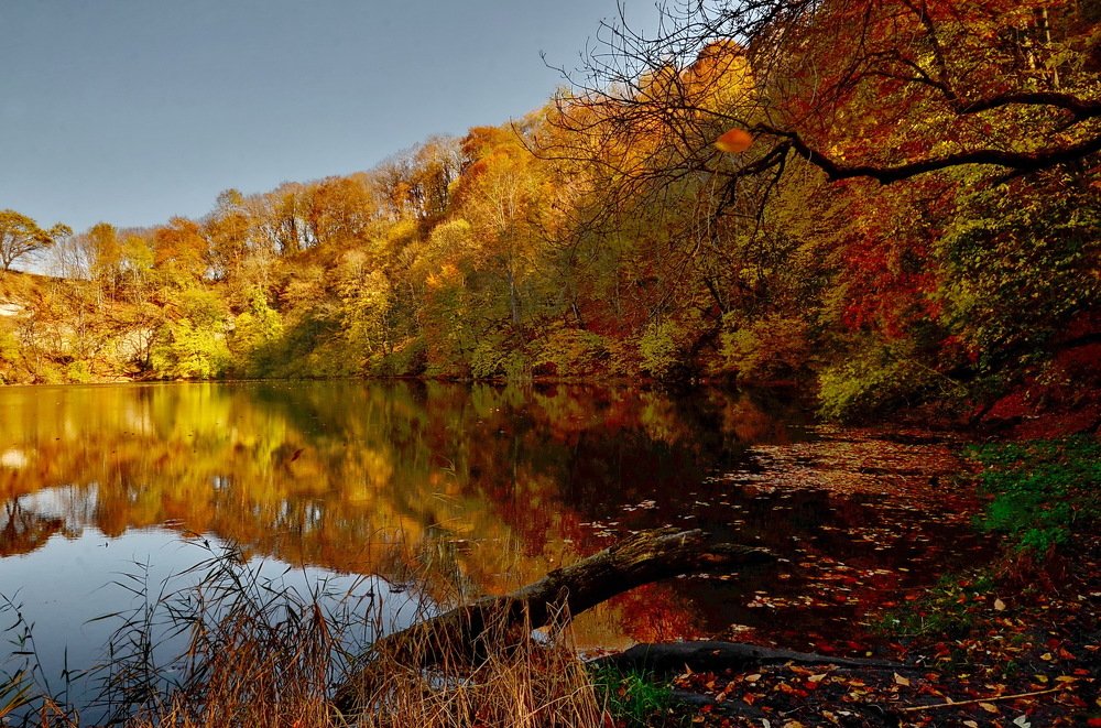 Фотография автора Анатолий Мироненко