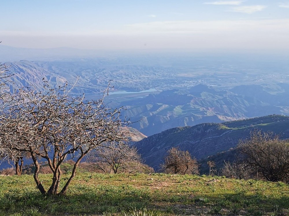 Photograph by Oleg Guchgeldiyev