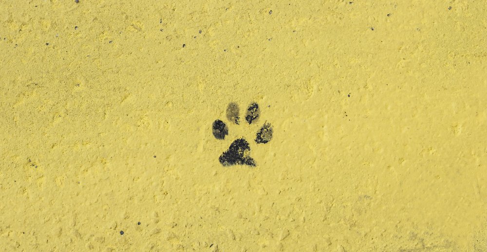 Photograph by Кирилл Ермилов