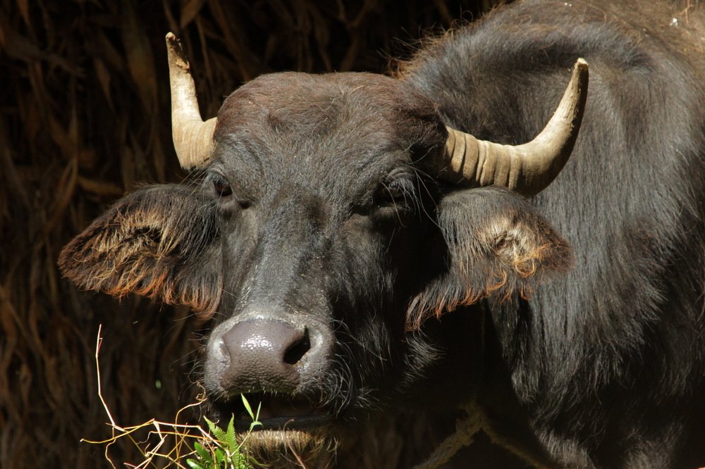 Photograph by Лада Денисова