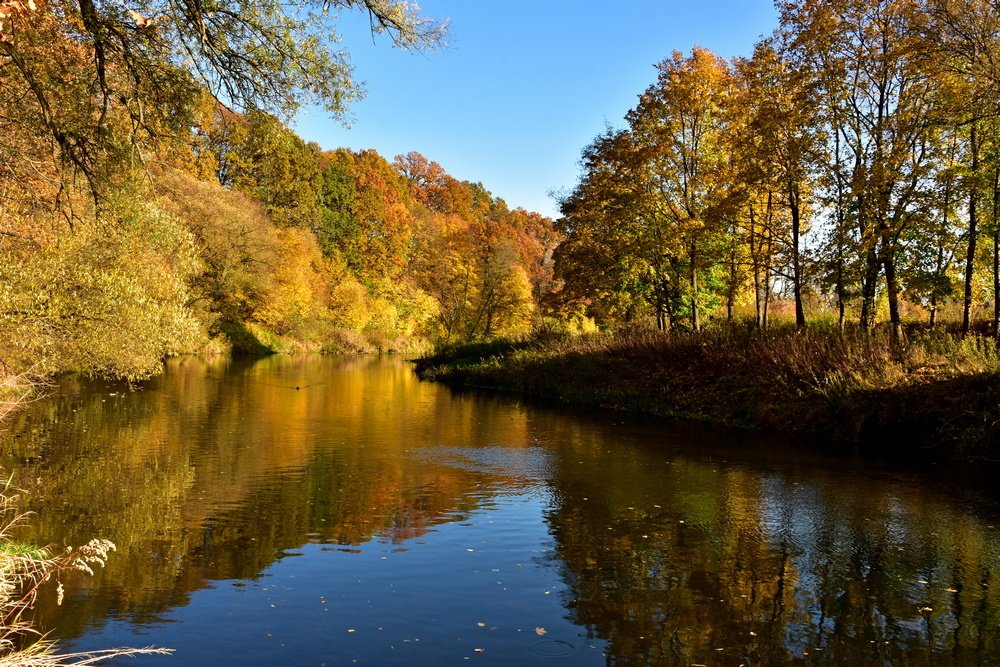 Photograph by Ирина Алексеева