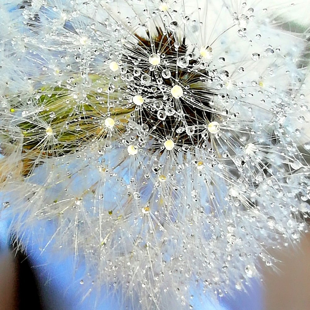 Photograph by Жанерке Хайбулда