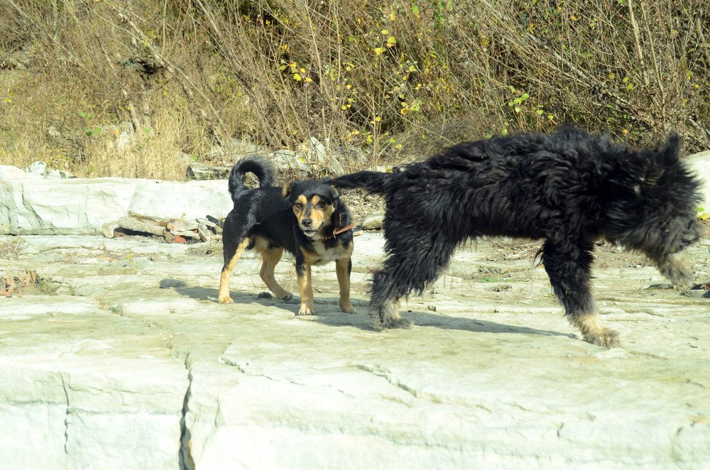 Photograph by Владимир Караман