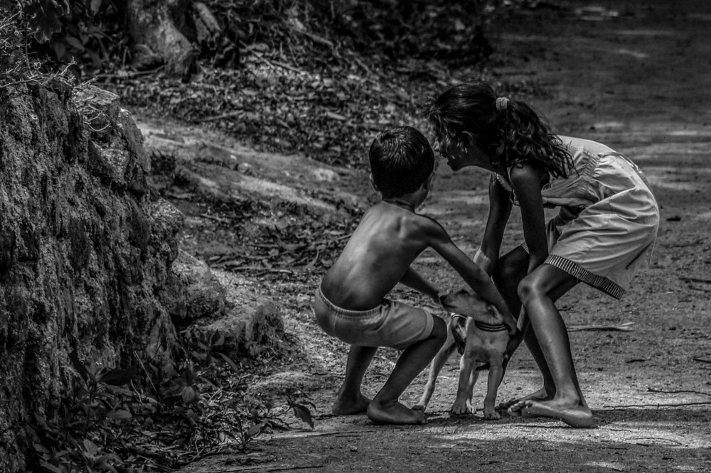 Photograph by Sandamali wimalasena