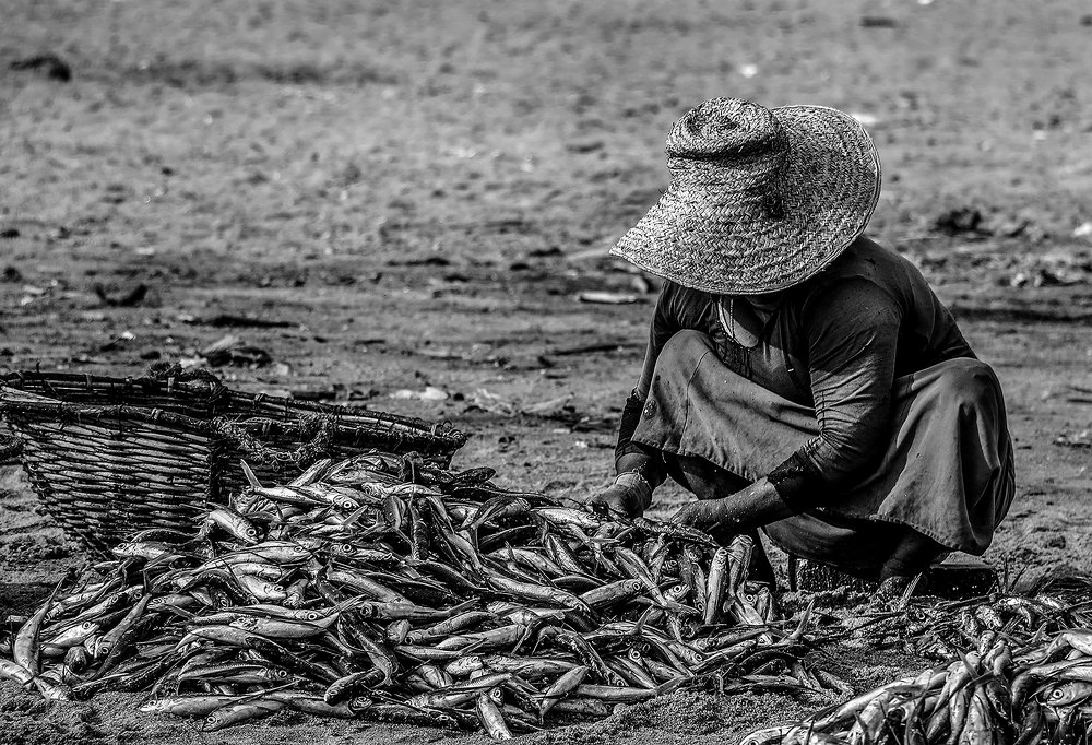 Photograph by Sandamali wimalasena