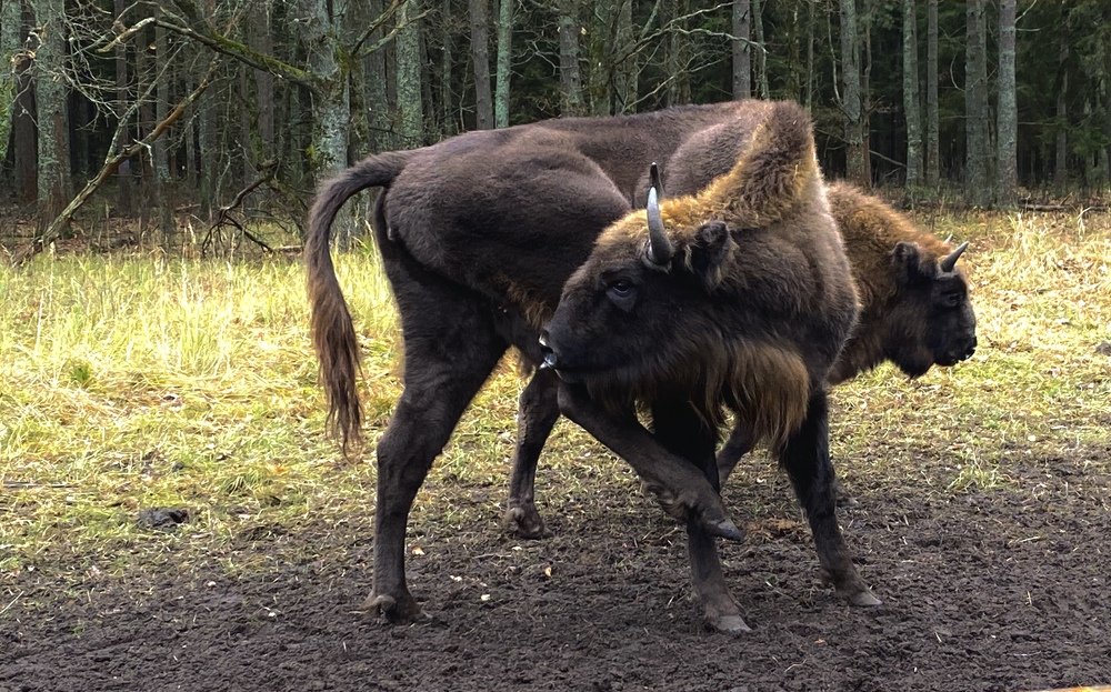 Photograph by Савва Конохов