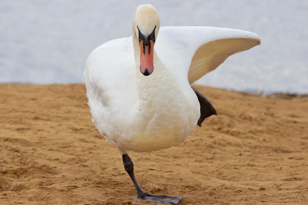 Photograph by Оксана Казакова