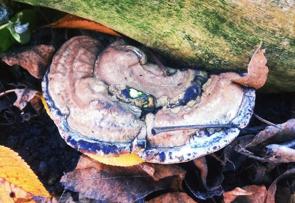 Photograph by Вита